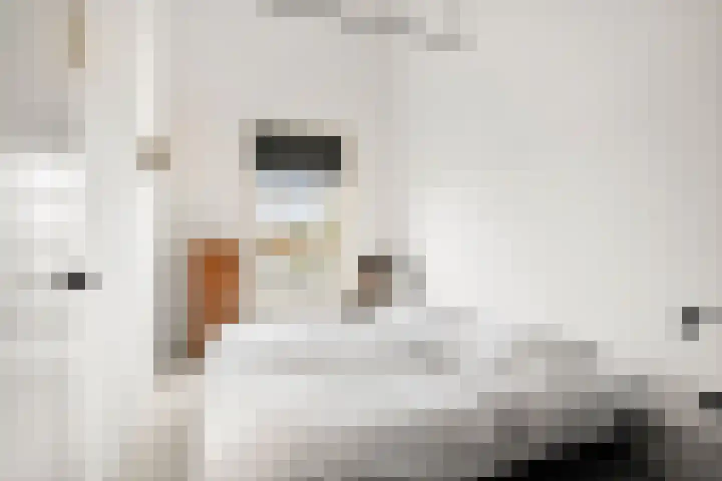 Van Essenkwartier 51 Ede thumbnail 42