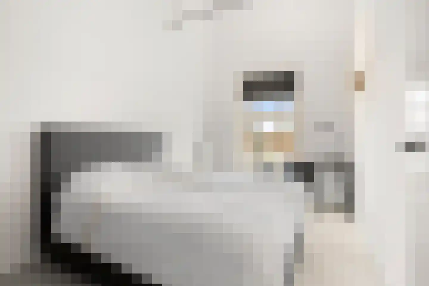 Van Essenkwartier 51 Ede thumbnail 43