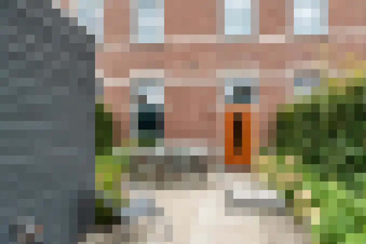 Van Essenkwartier 51 Ede thumbnail 52