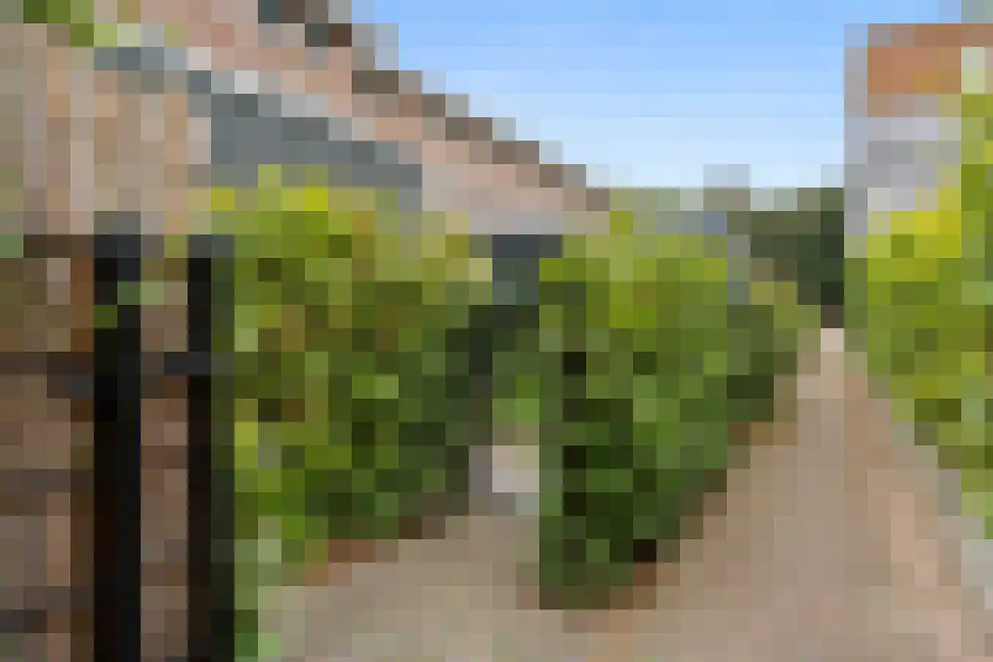 Van Essenkwartier 51 Ede thumbnail 53