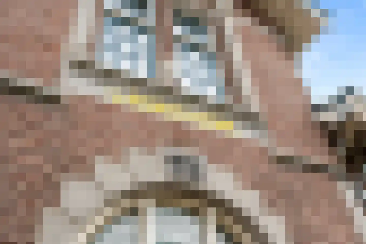 Van Essenkwartier 51 Ede thumbnail 60