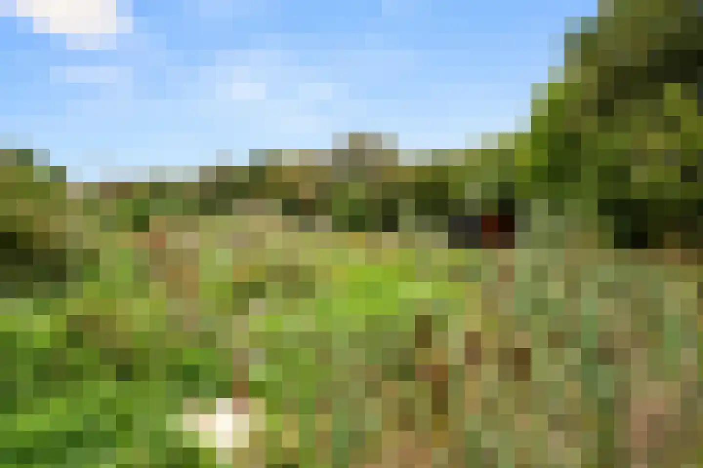 Van Essenkwartier 51 Ede thumbnail 63