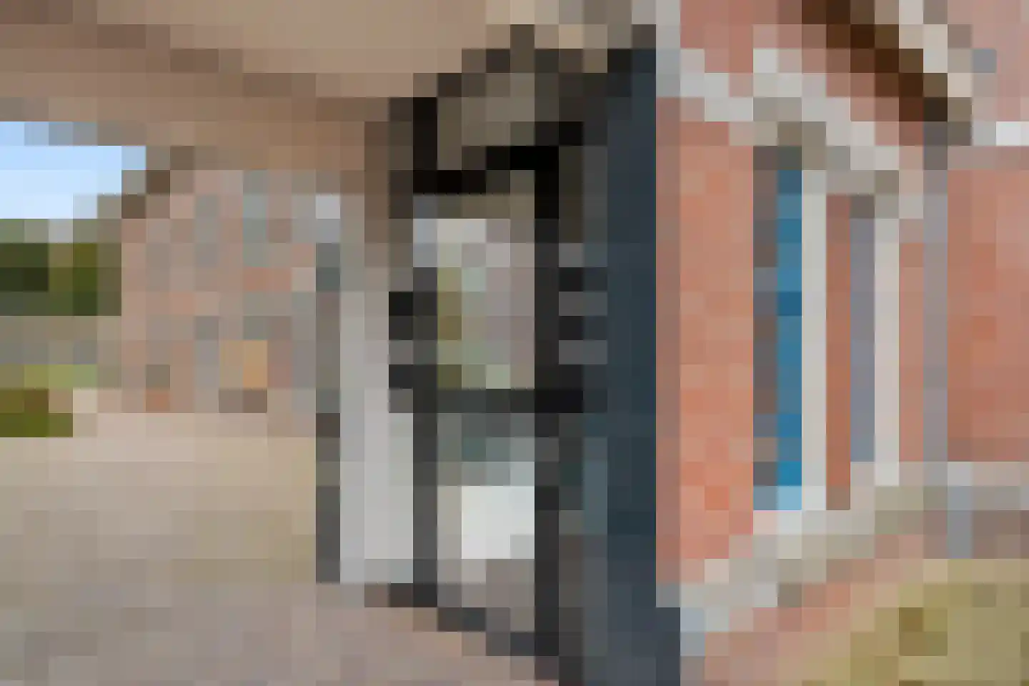 Van Essenkwartier 51 Ede thumbnail 8