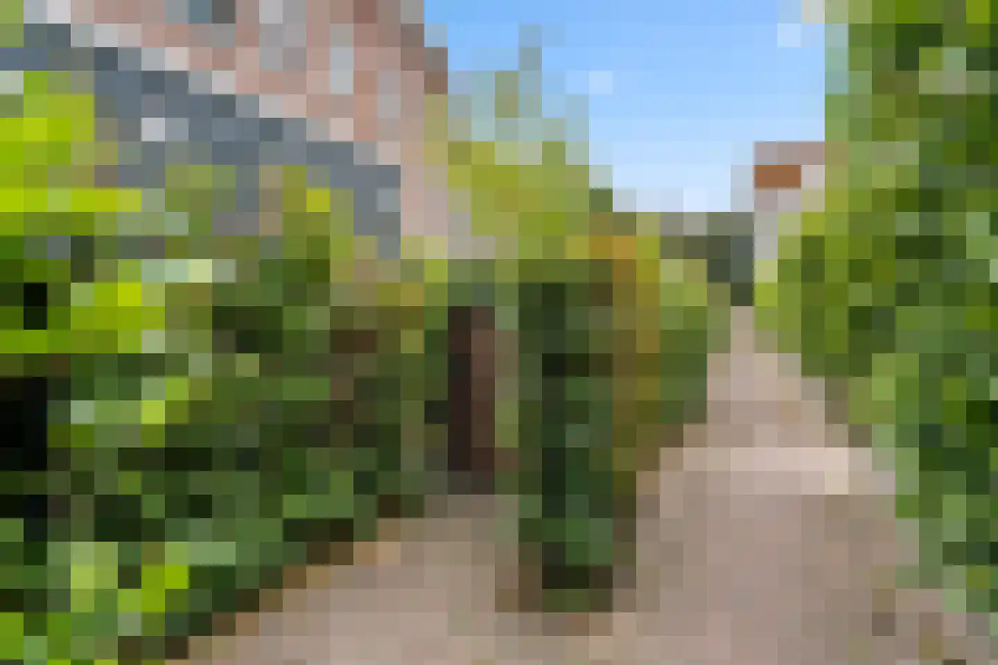 Van Essenkwartier 55 Ede thumbnail 19