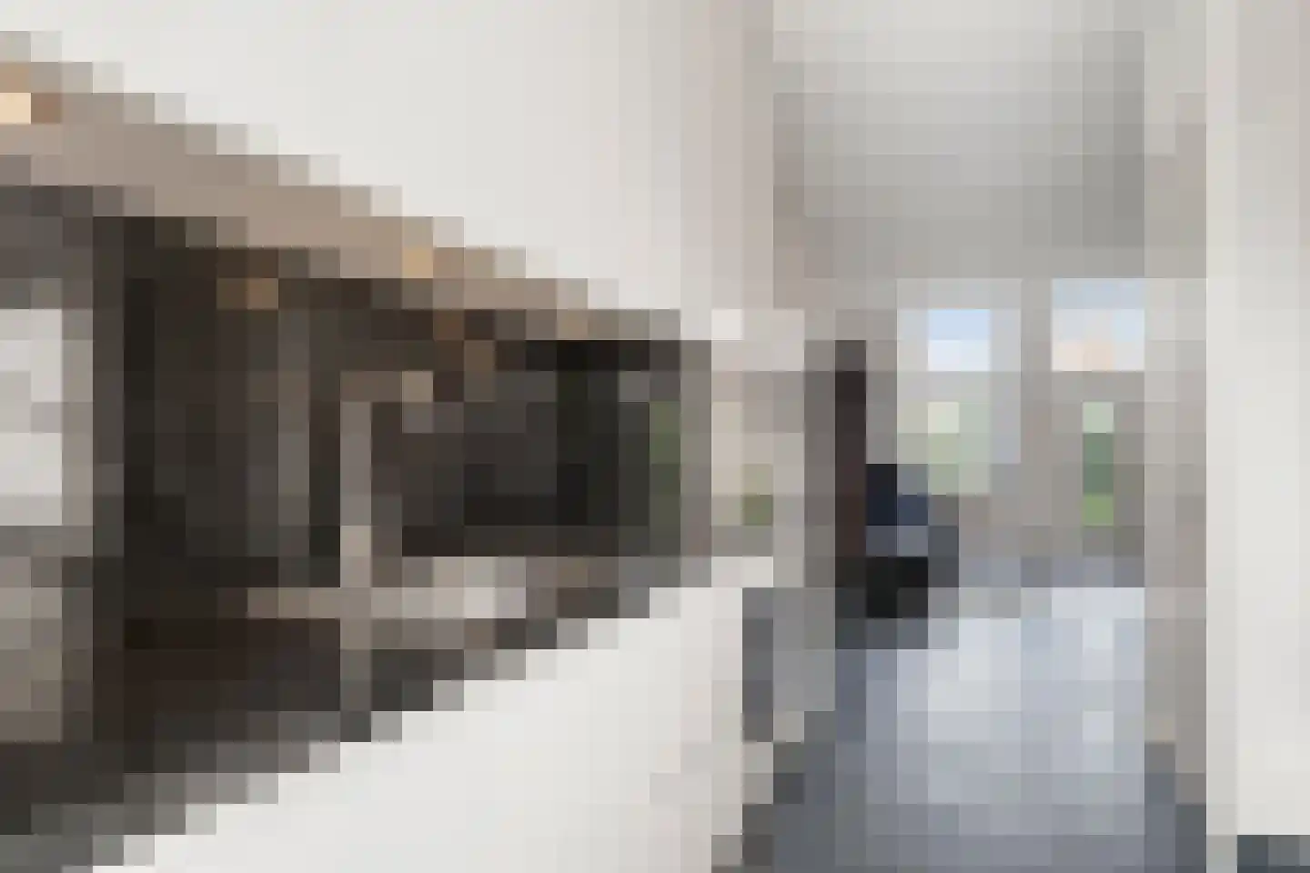 Van Essenkwartier 55 Ede thumbnail 23