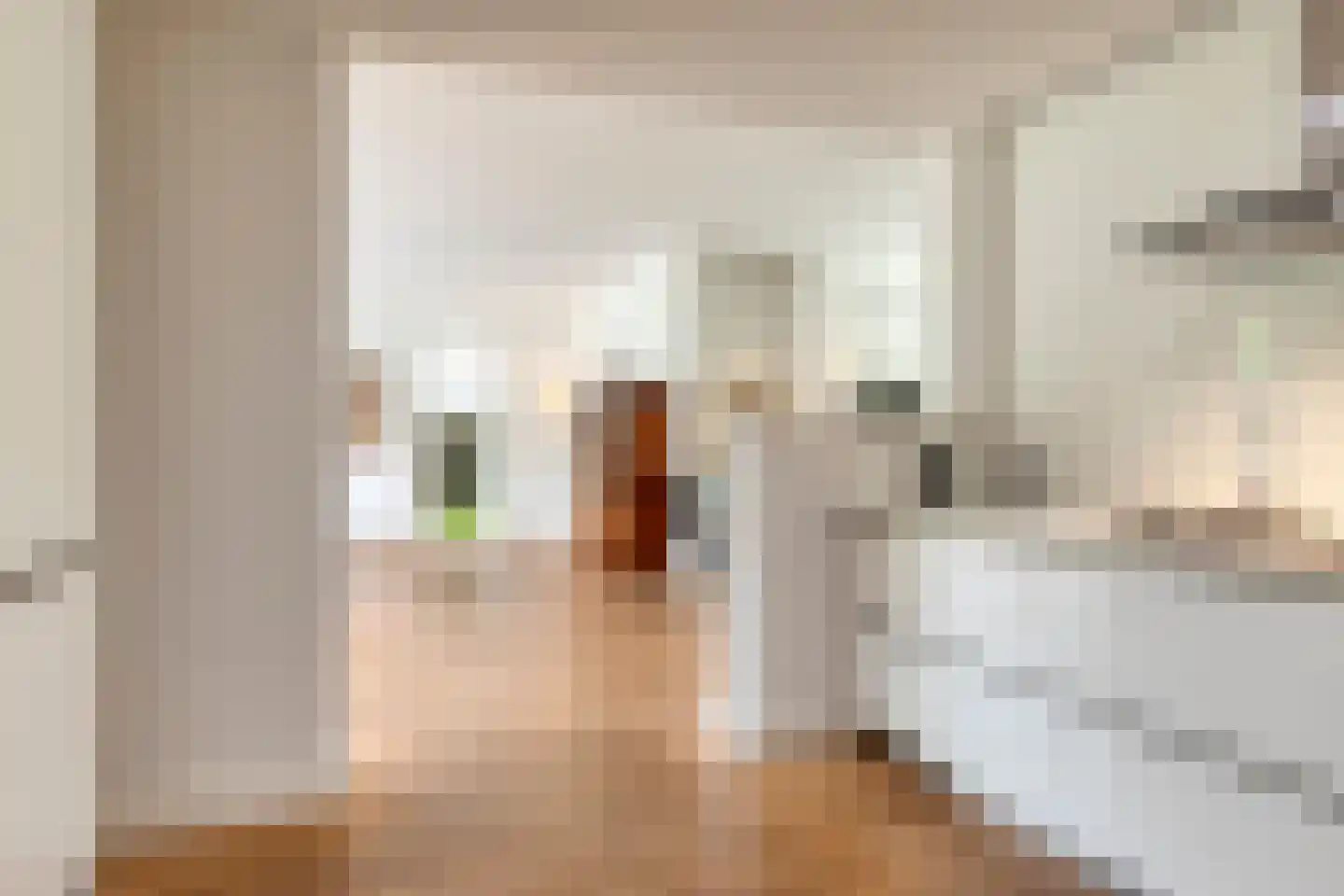 van Essenstraat 50 Zutphen thumbnail 20