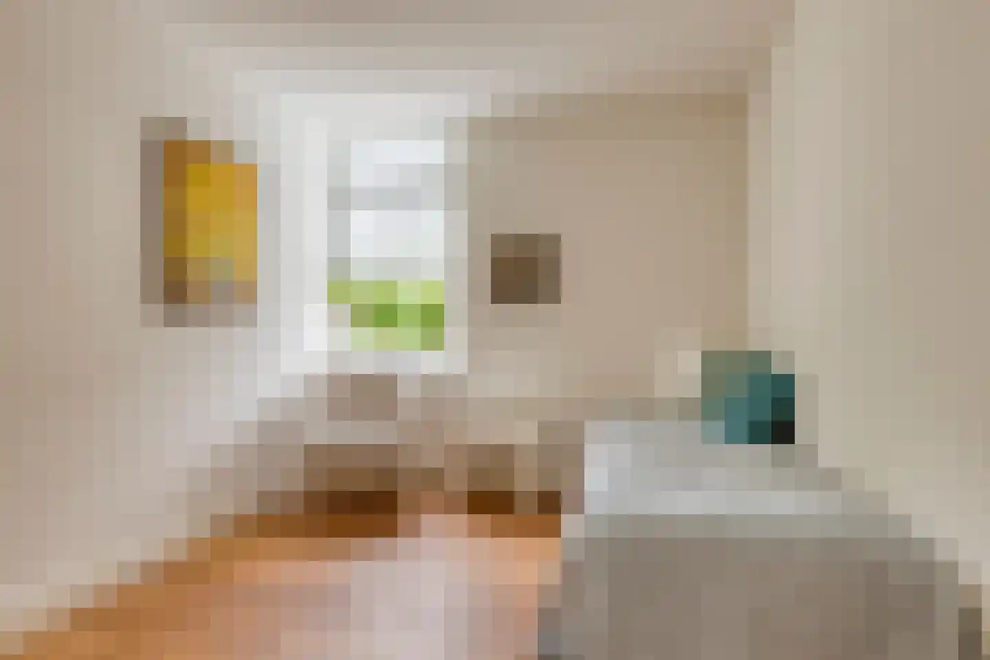 van Essenstraat 50 Zutphen thumbnail 35