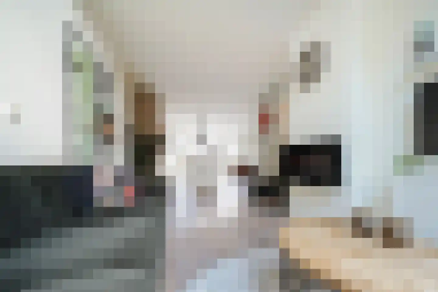 van Essenstraat 6 Putten thumbnail 11