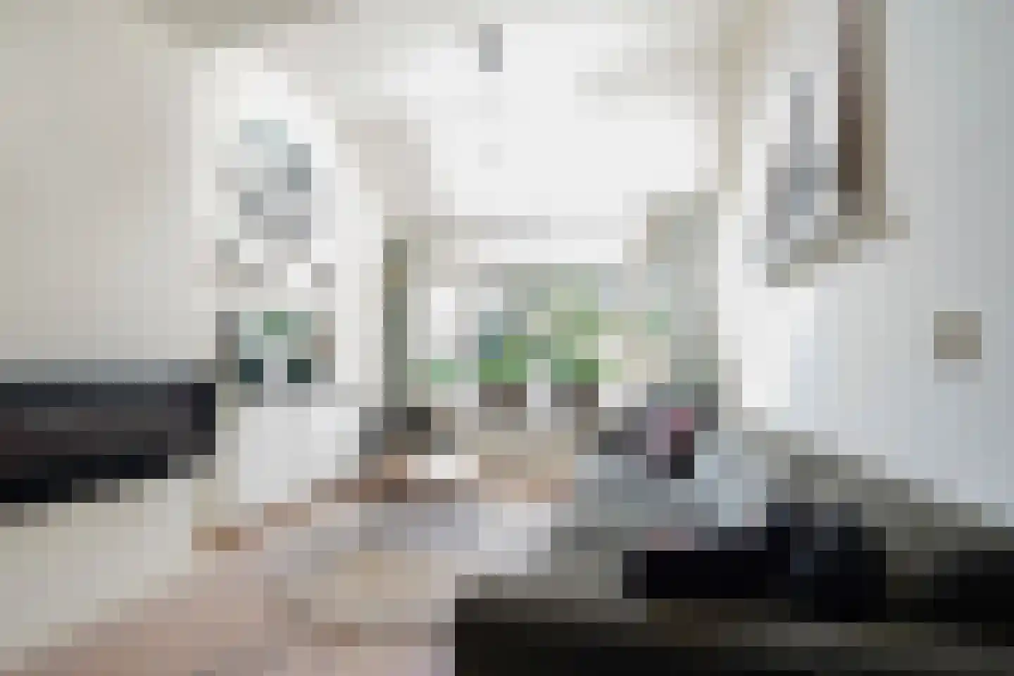 van Essenstraat 6 Putten thumbnail 13