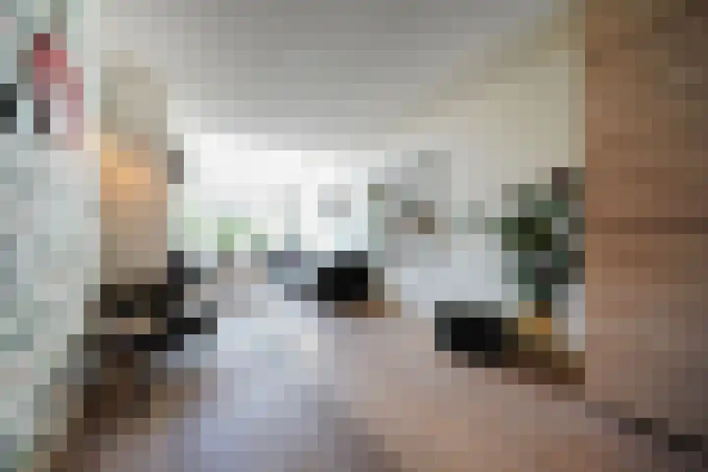 van Essenstraat 6 Putten thumbnail 14