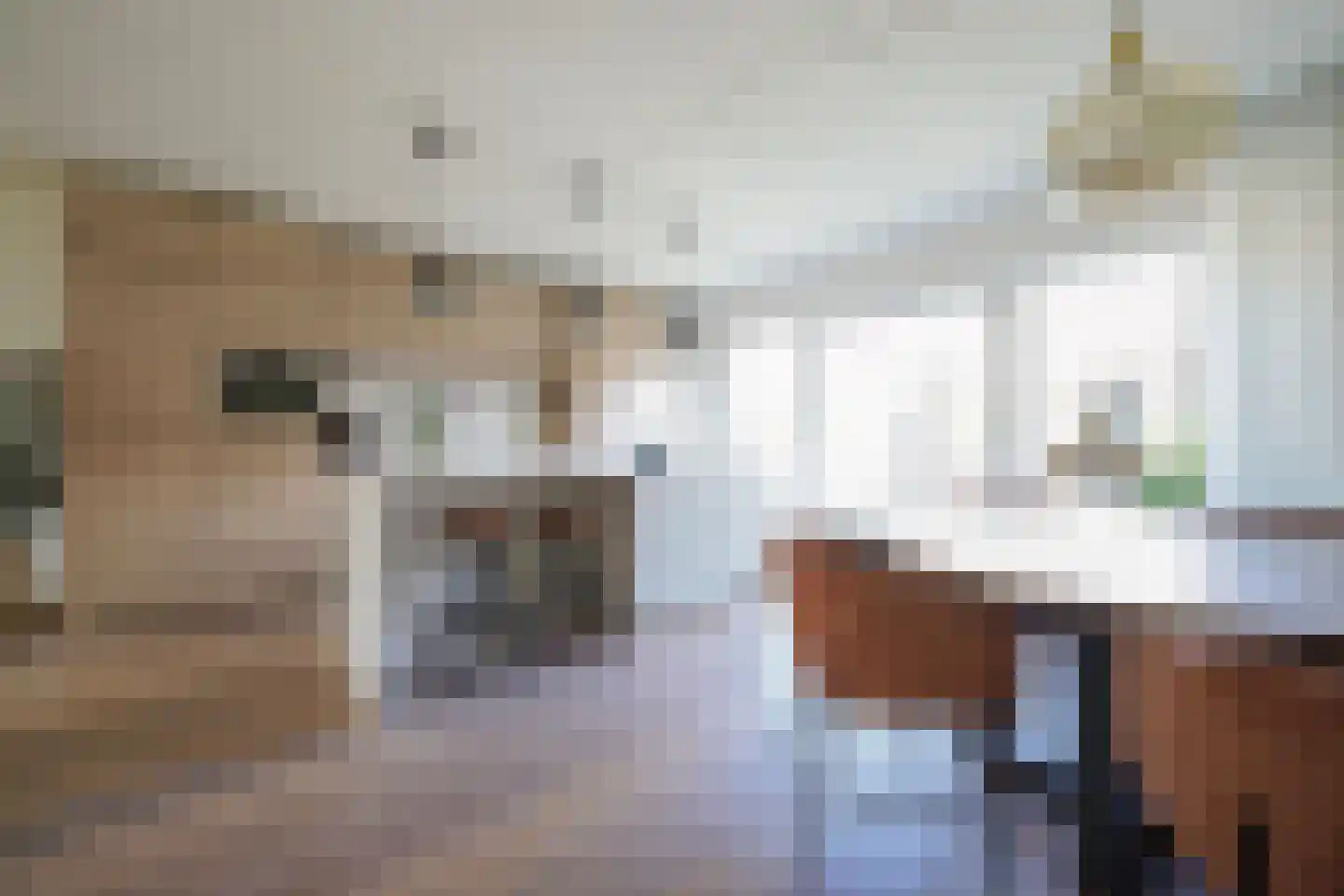 van Essenstraat 6 Putten thumbnail 15