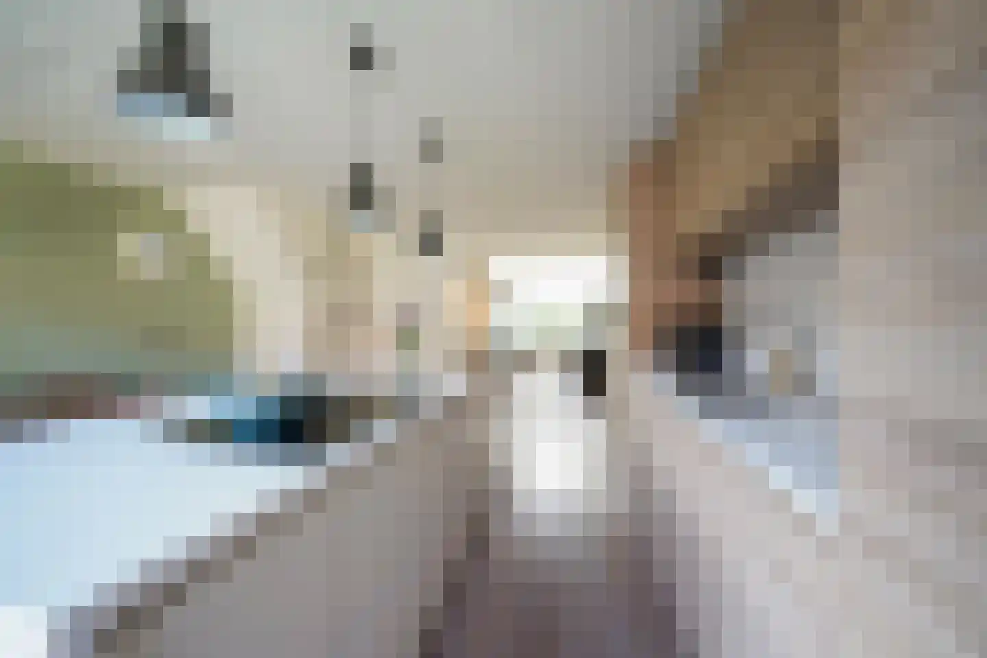 van Essenstraat 6 Putten thumbnail 17