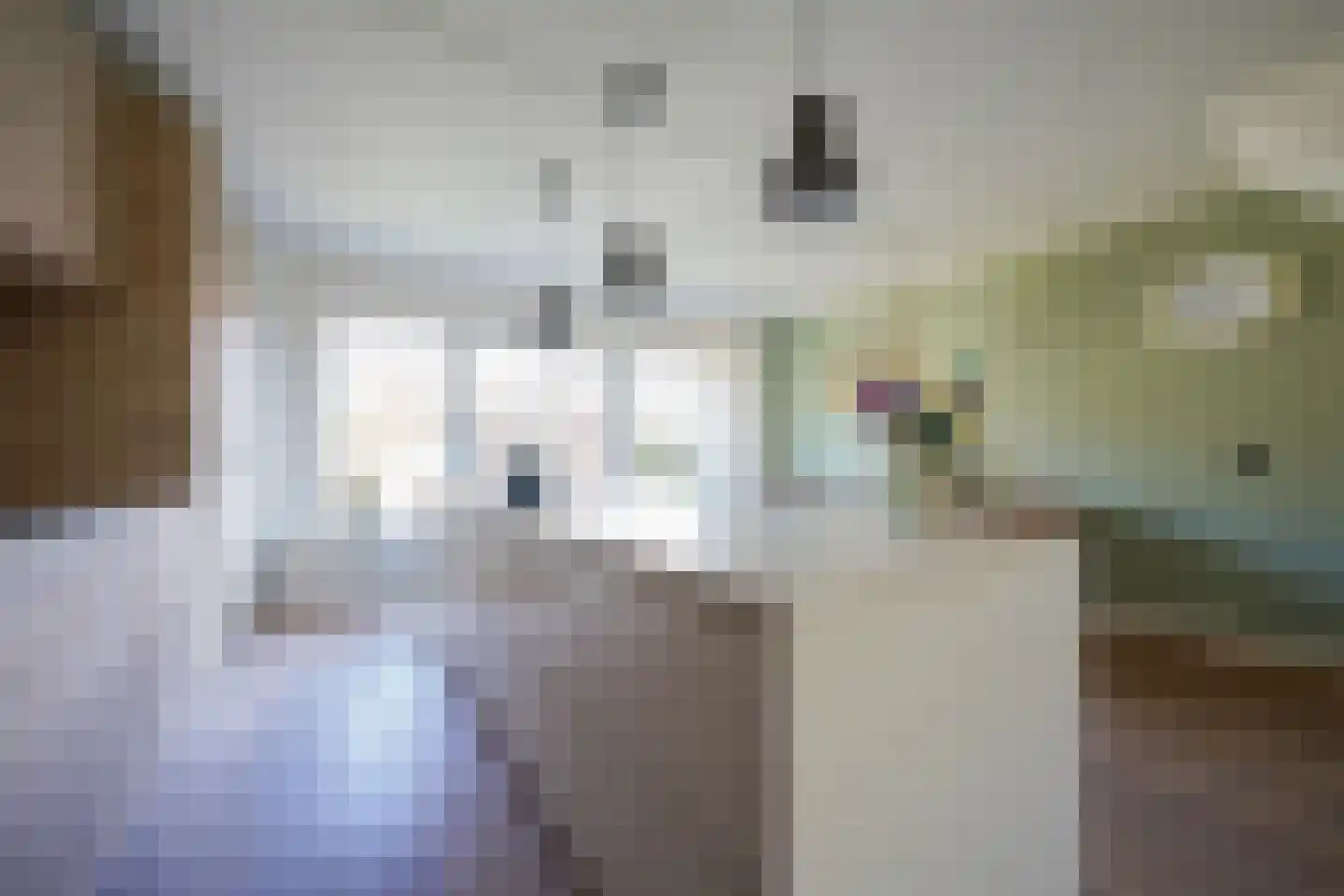 van Essenstraat 6 Putten thumbnail 20