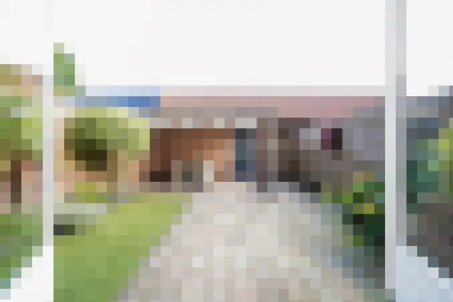 van Essenstraat 6 Putten thumbnail 22