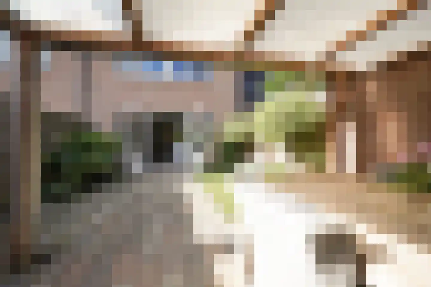 van Essenstraat 6 Putten thumbnail 24