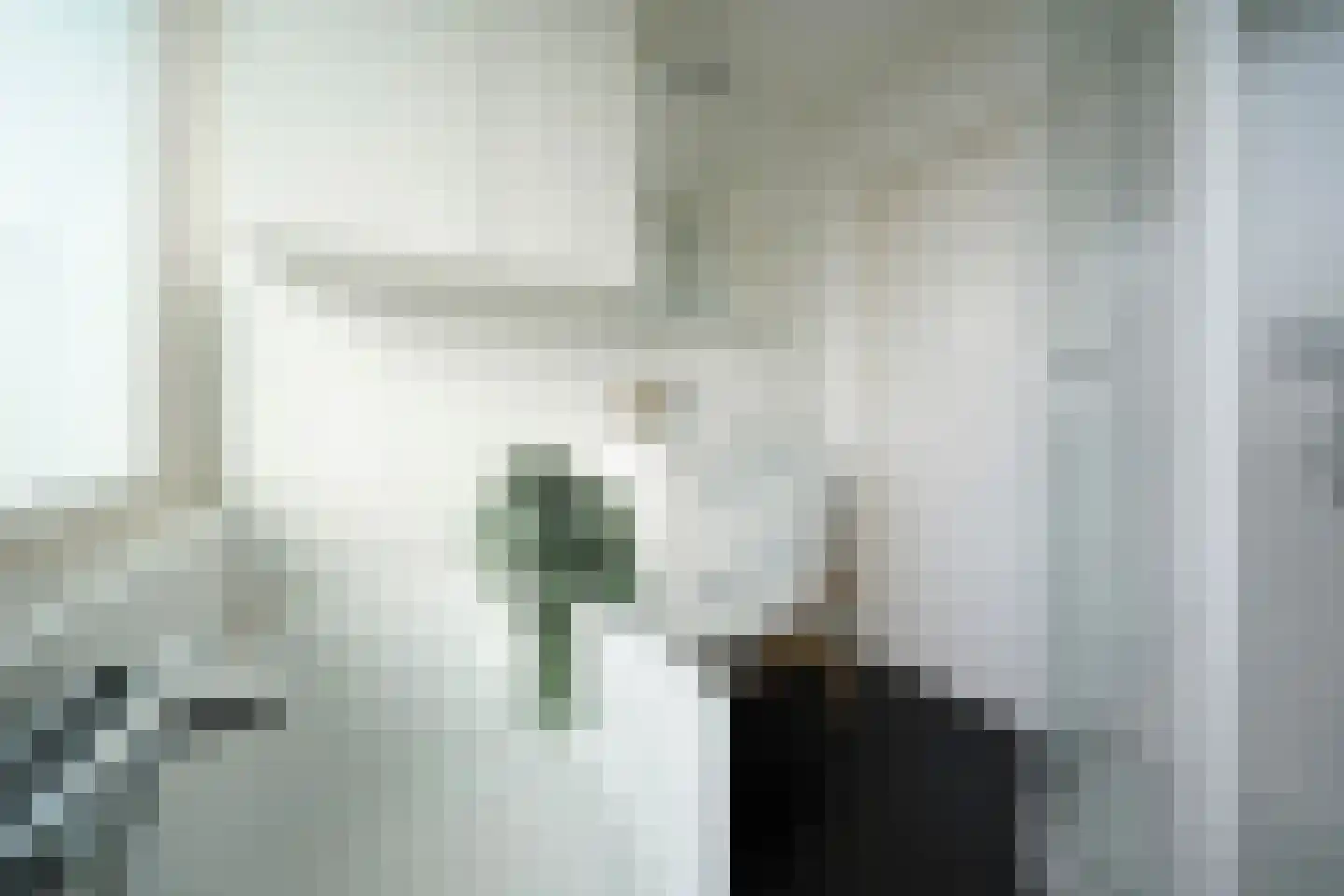 van Essenstraat 6 Putten thumbnail 40
