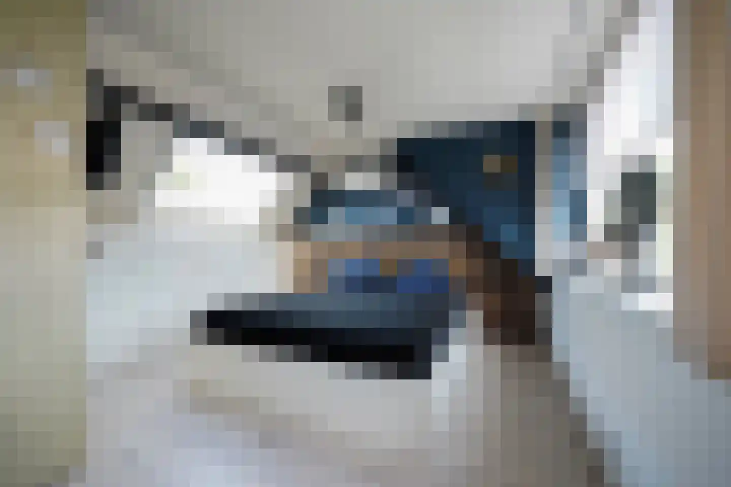 van Essenstraat 6 Putten thumbnail 42