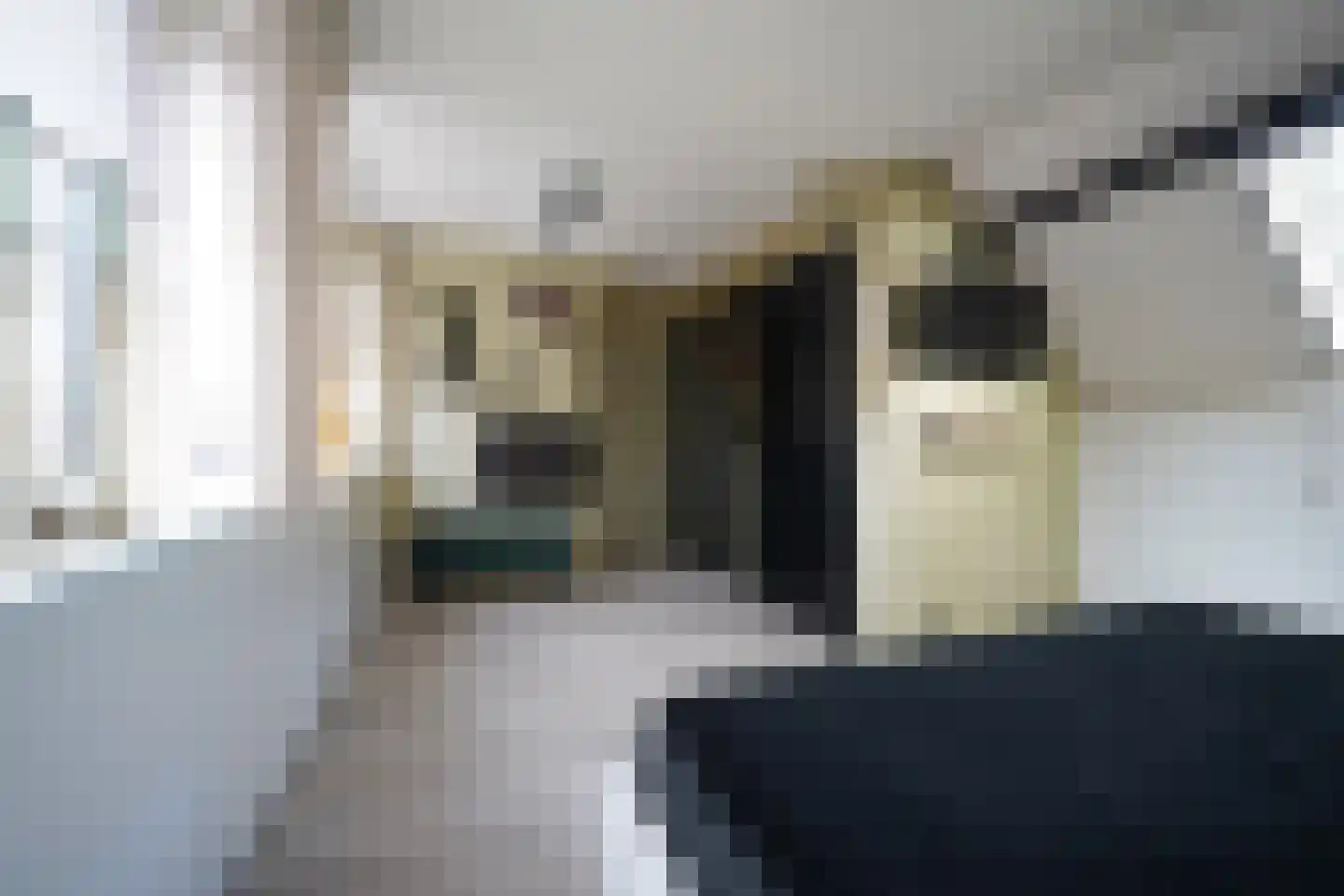 van Essenstraat 6 Putten thumbnail 46