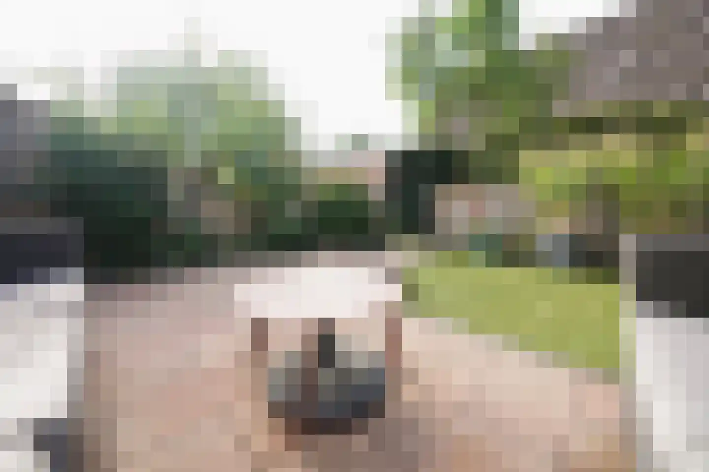 van Essenstraat 6 Putten thumbnail 5