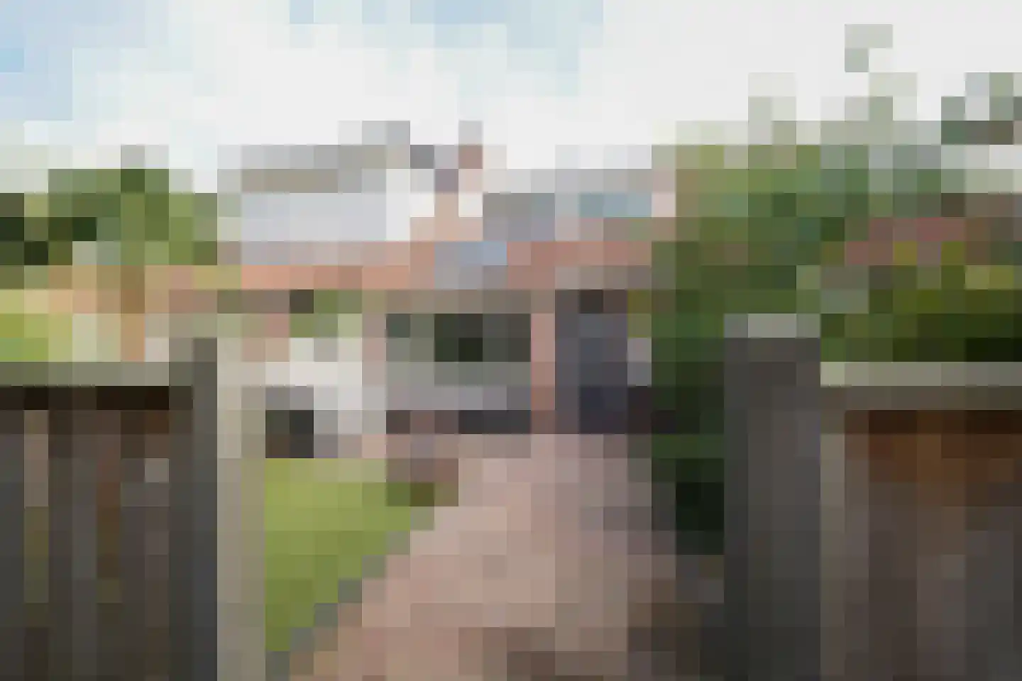 van Essenstraat 6 Putten thumbnail 50