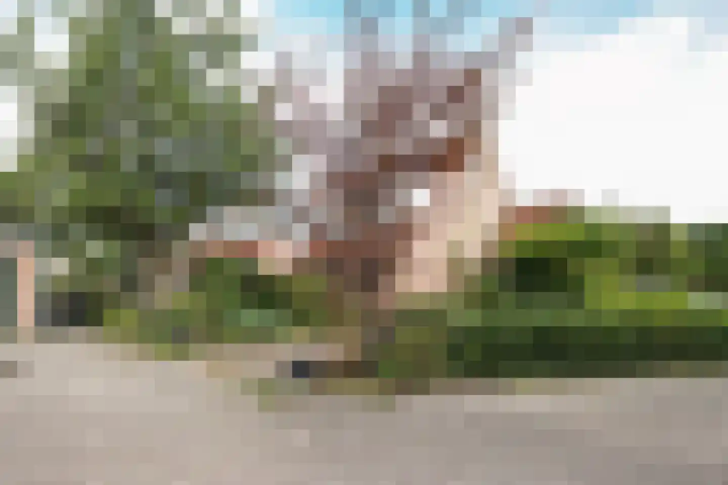 van Essenstraat 6 Putten thumbnail 51
