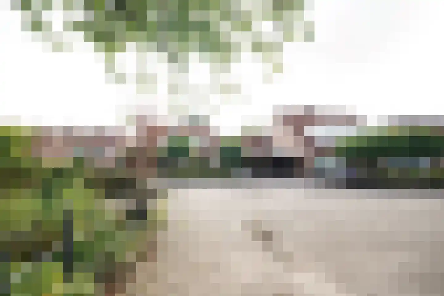 van Essenstraat 6 Putten thumbnail 52
