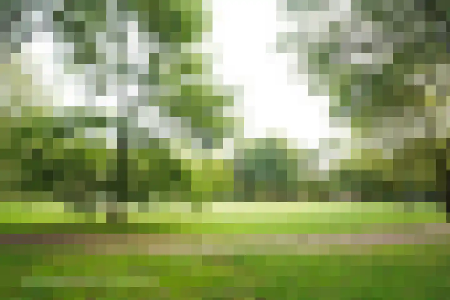 van Essenstraat 6 Putten thumbnail 54