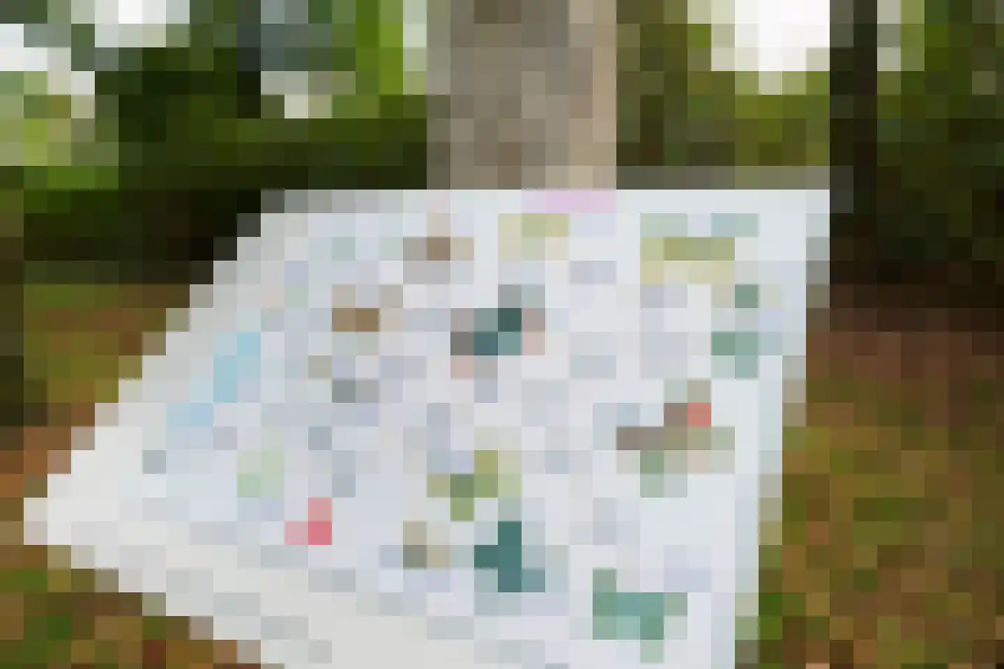 van Essenstraat 6 Putten thumbnail 55