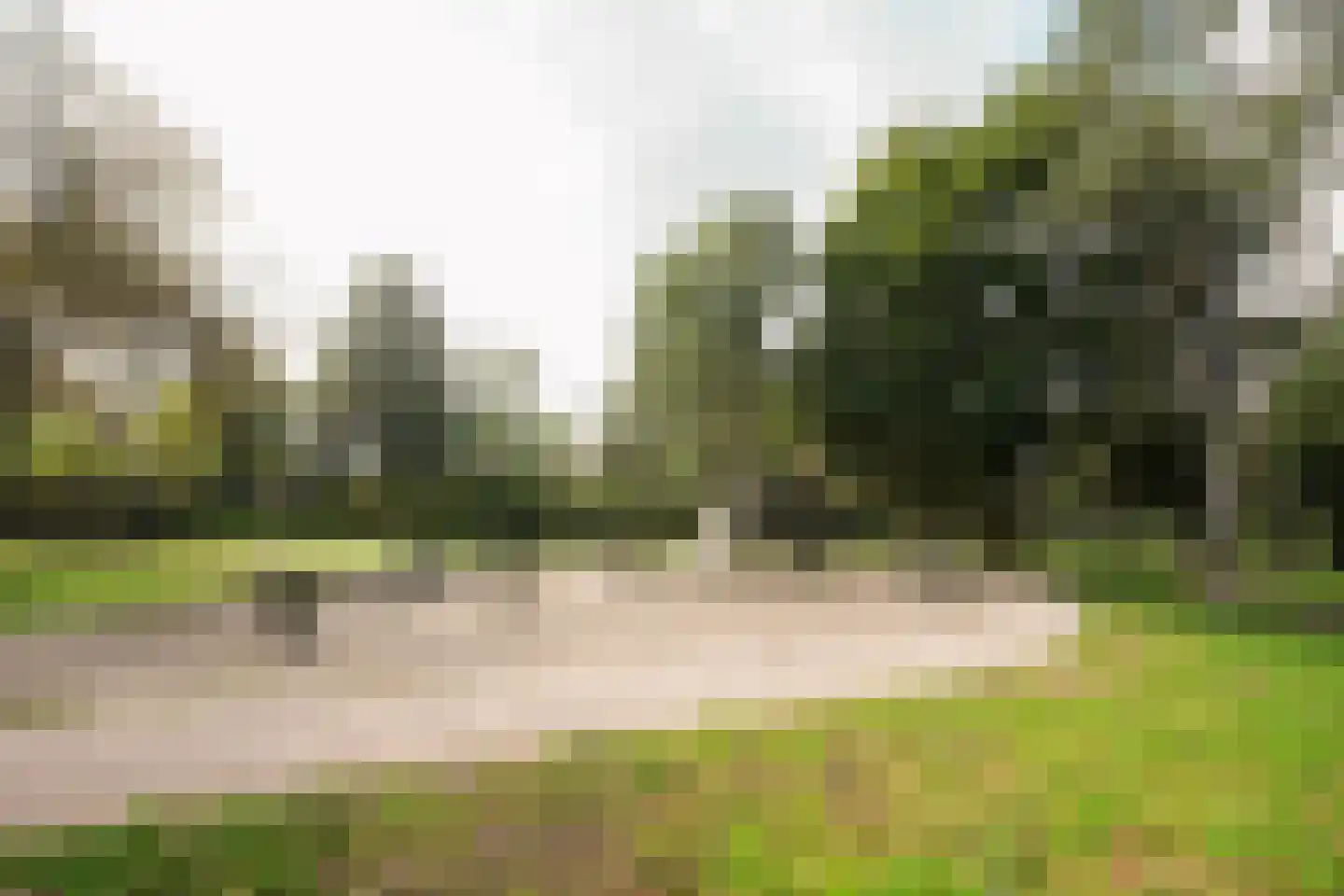 van Essenstraat 6 Putten thumbnail 56