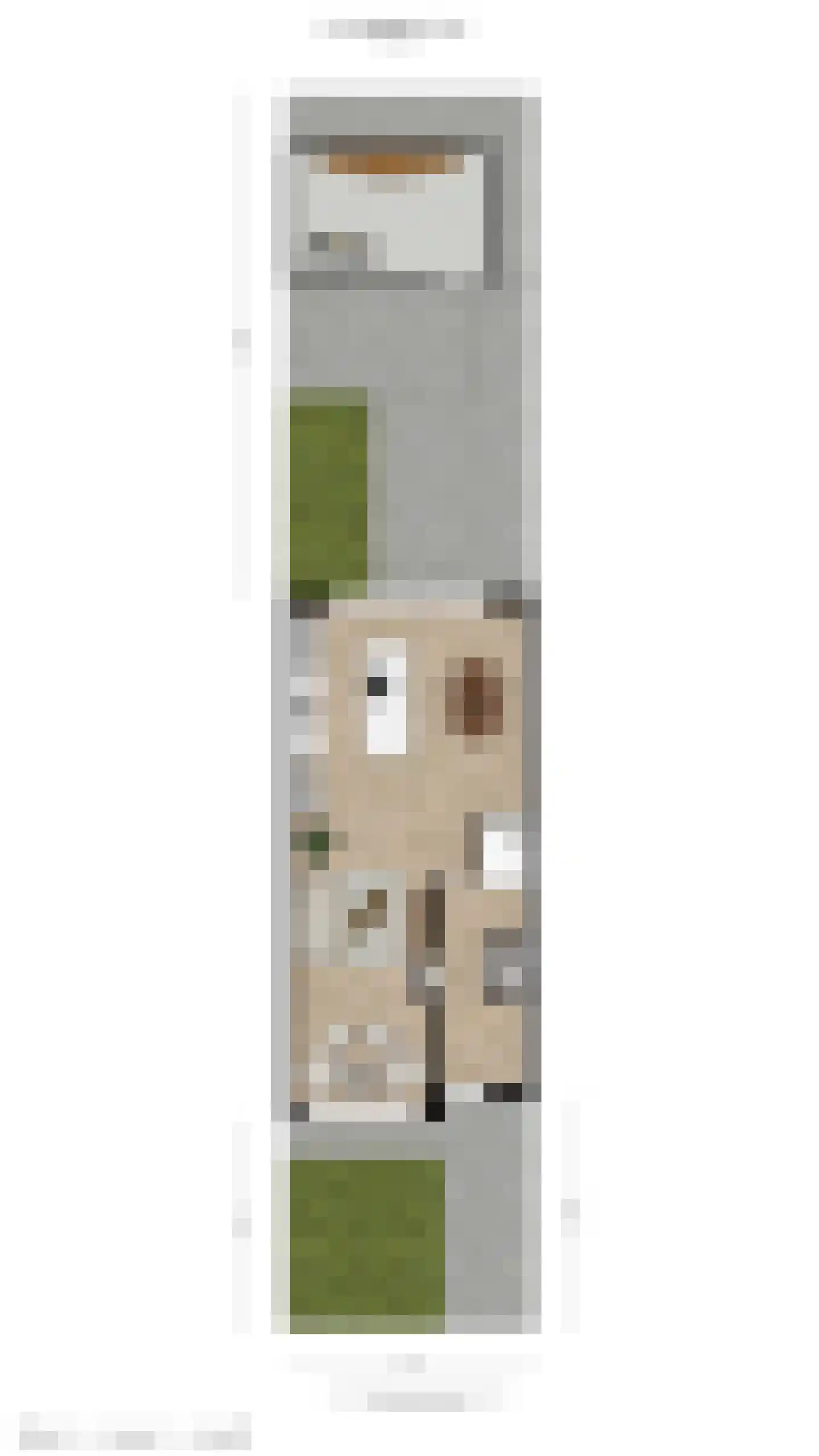 van Essenstraat 6 Putten thumbnail 57