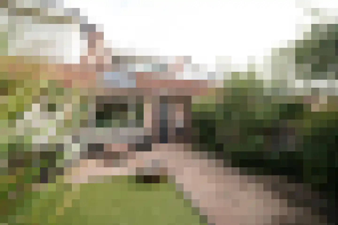van Essenstraat 6 Putten thumbnail 6