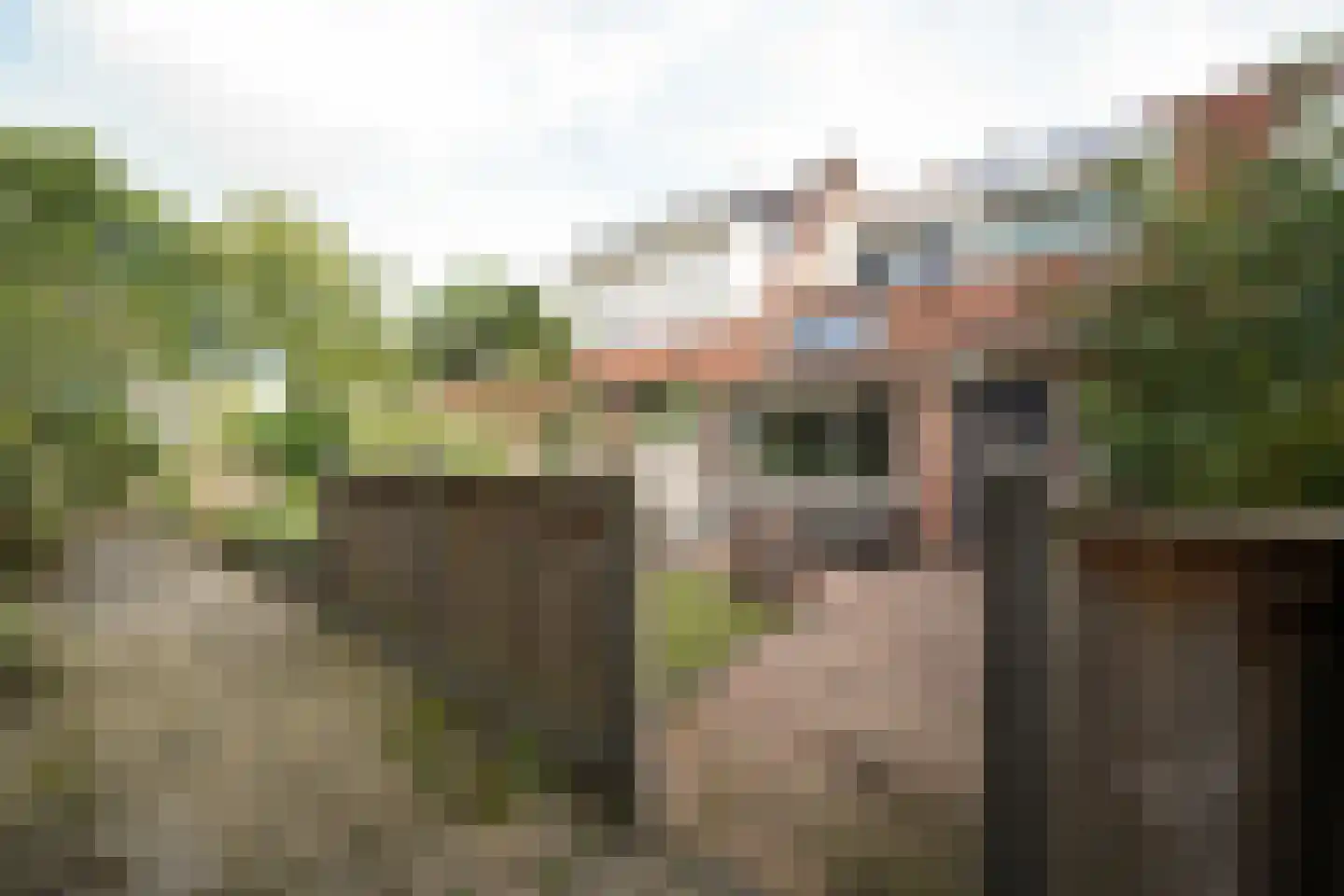 van Essenstraat 6 Putten thumbnail 7