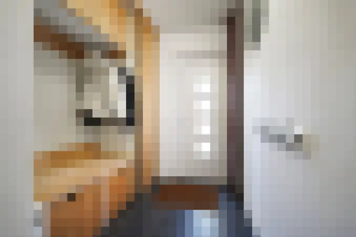 van Essenstraat 6 Putten thumbnail 8
