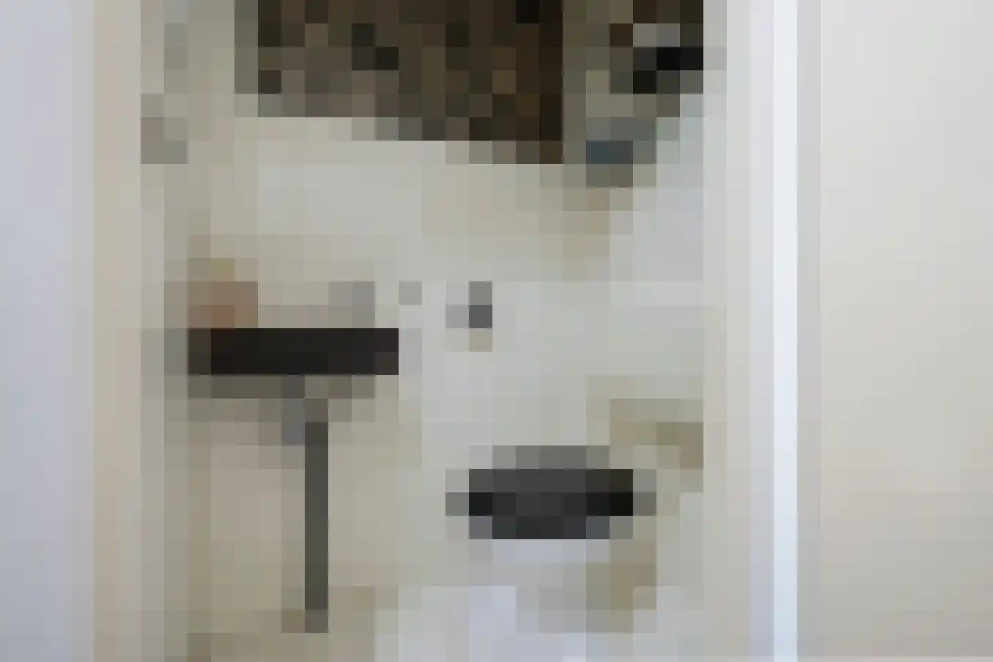 van Essenstraat 6 Putten thumbnail 9