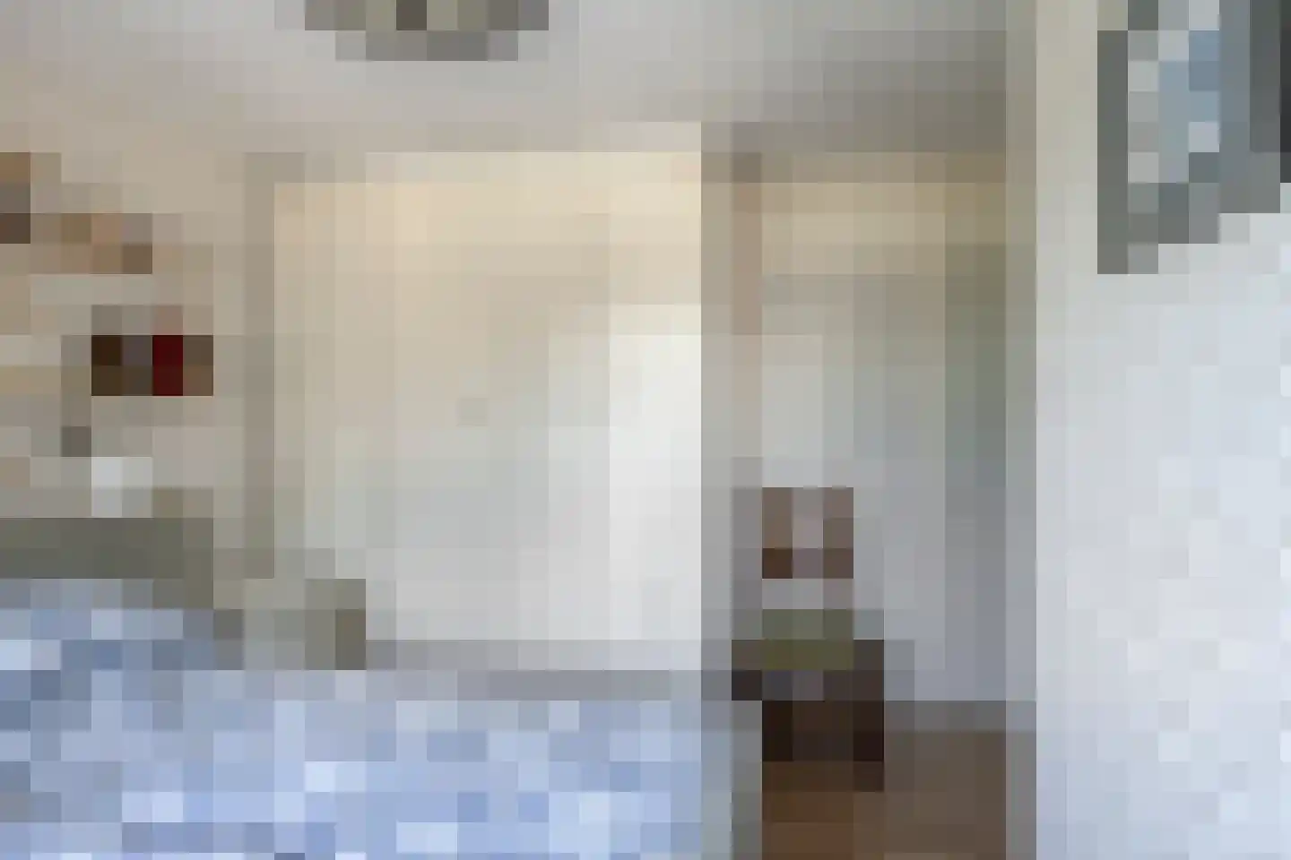 van Essenstraat 6 Zutphen thumbnail 17