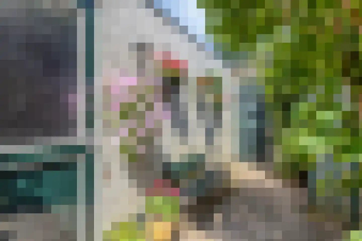 van Essenstraat 6 Zutphen thumbnail 30