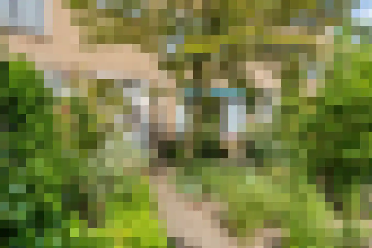 van Essenstraat 6 Zutphen thumbnail 4