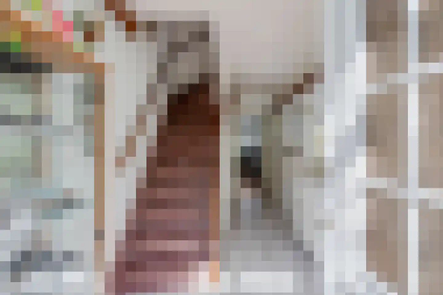 van Essenstraat 6 Zutphen thumbnail 5