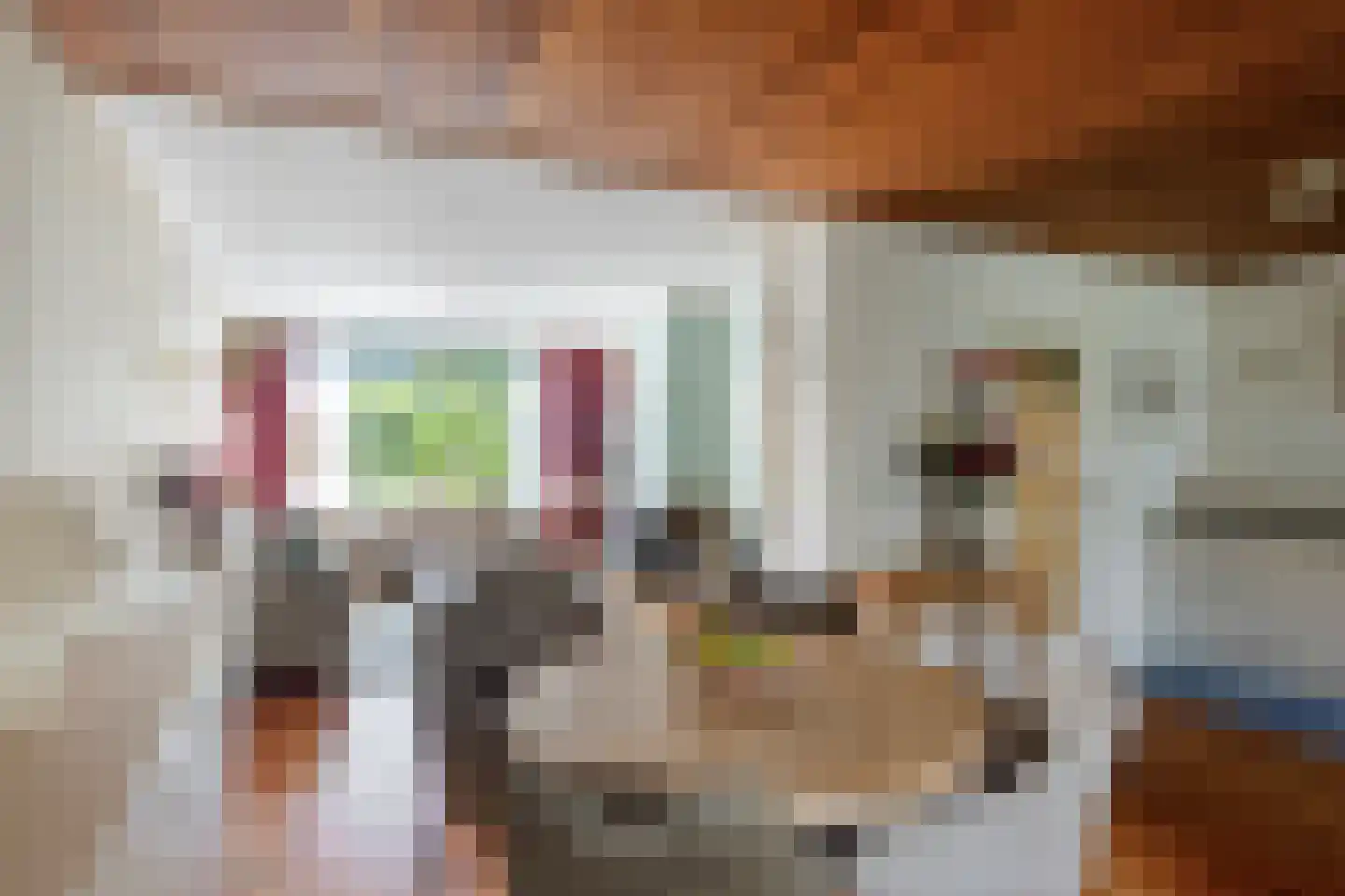 van Essenstraat 6 Zutphen thumbnail 7