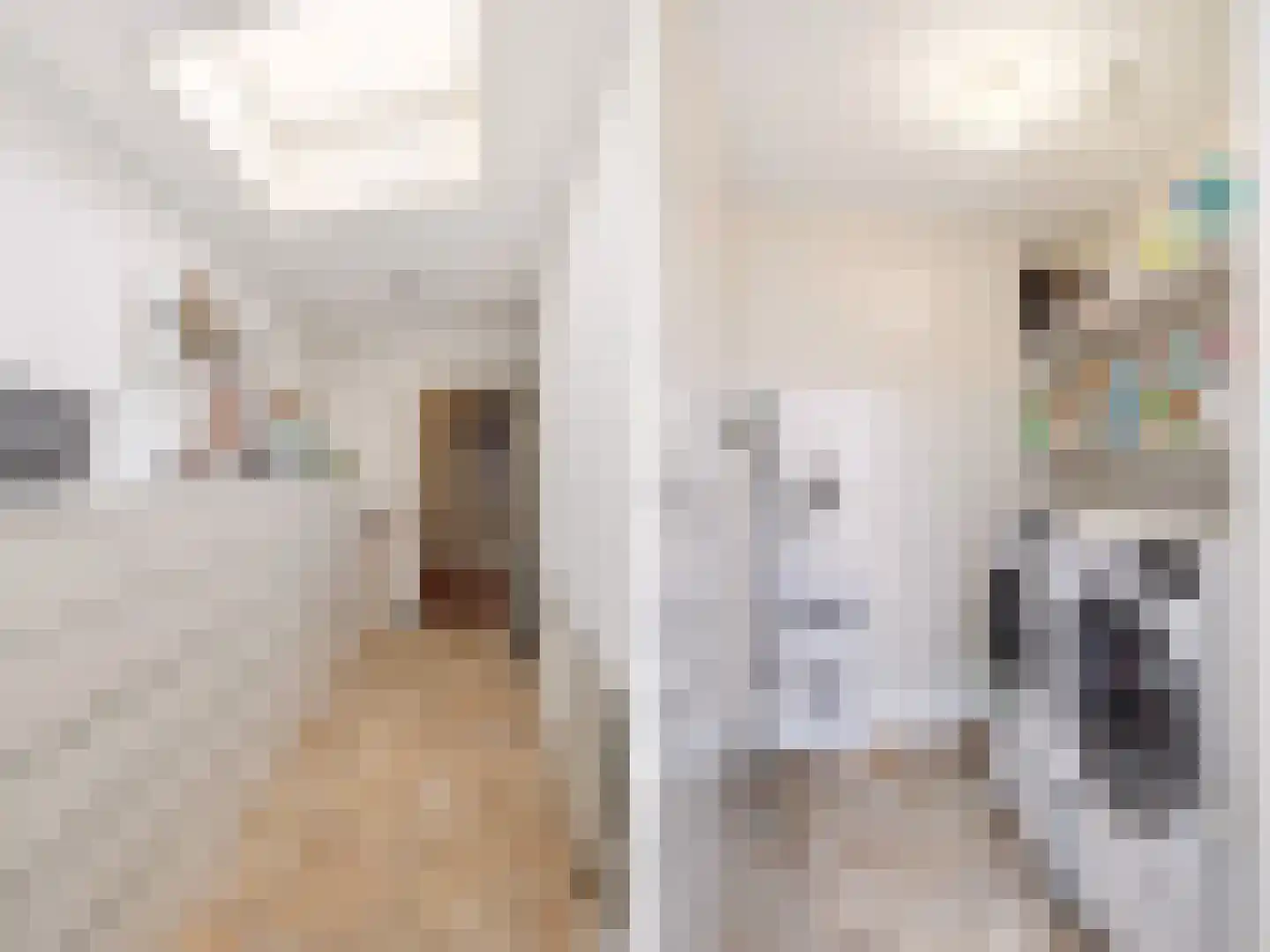 van Essenstraat 68 Zutphen thumbnail 13