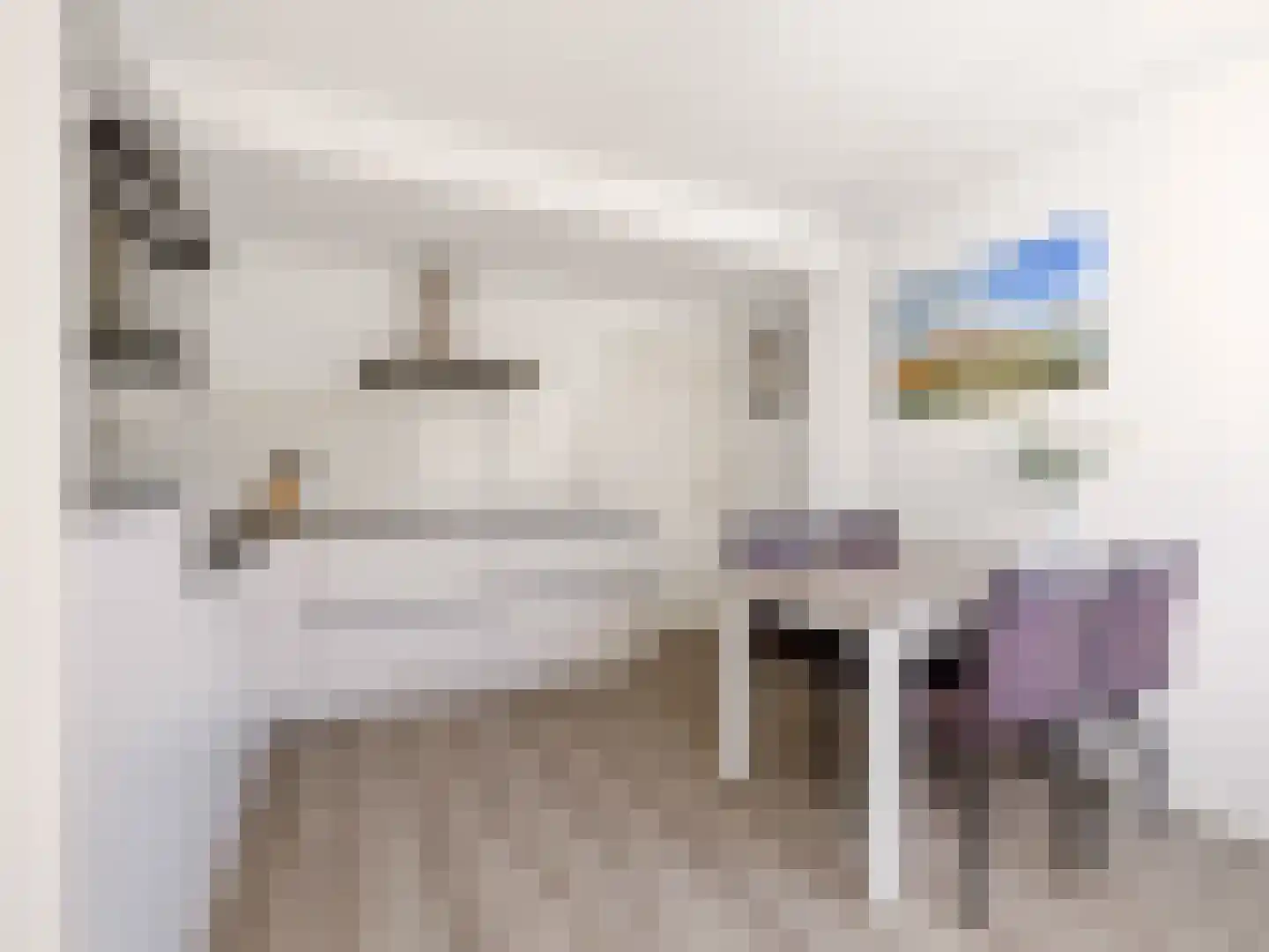 van Essenstraat 68 Zutphen thumbnail 8