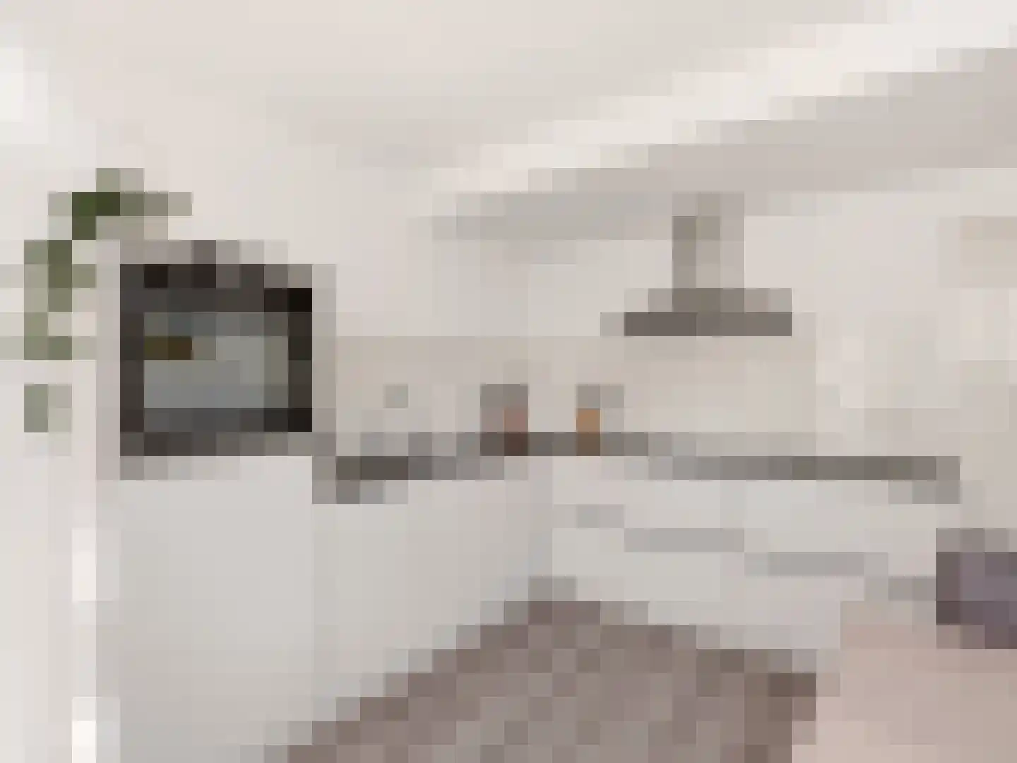 van Essenstraat 68 Zutphen thumbnail 9