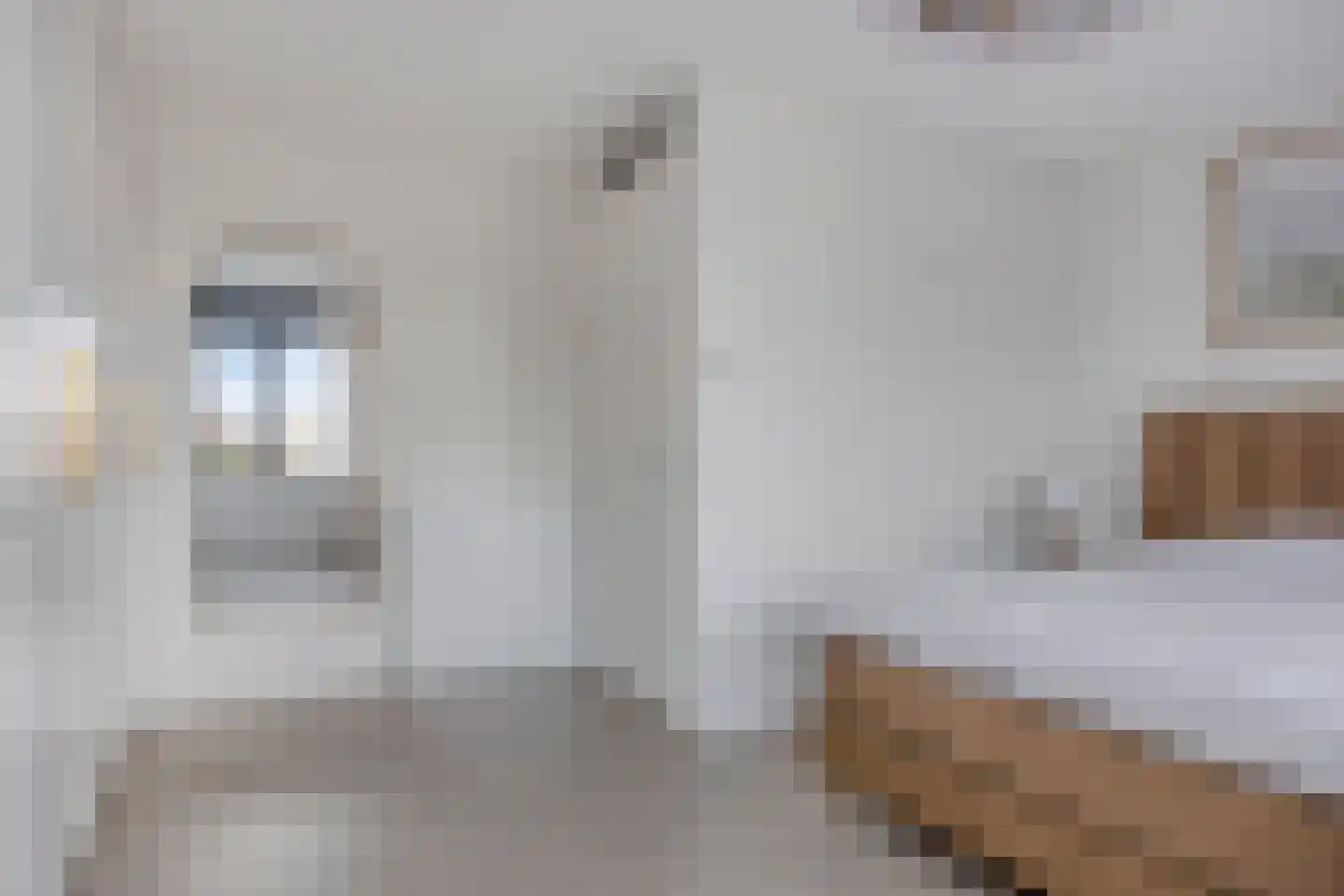 Van Essenweg 3 Apeldoorn thumbnail 15