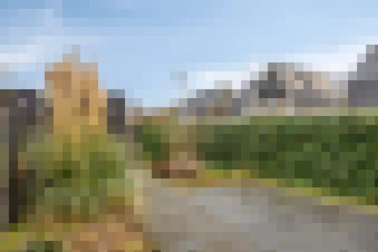 Van Essenweg 3 Apeldoorn thumbnail 22