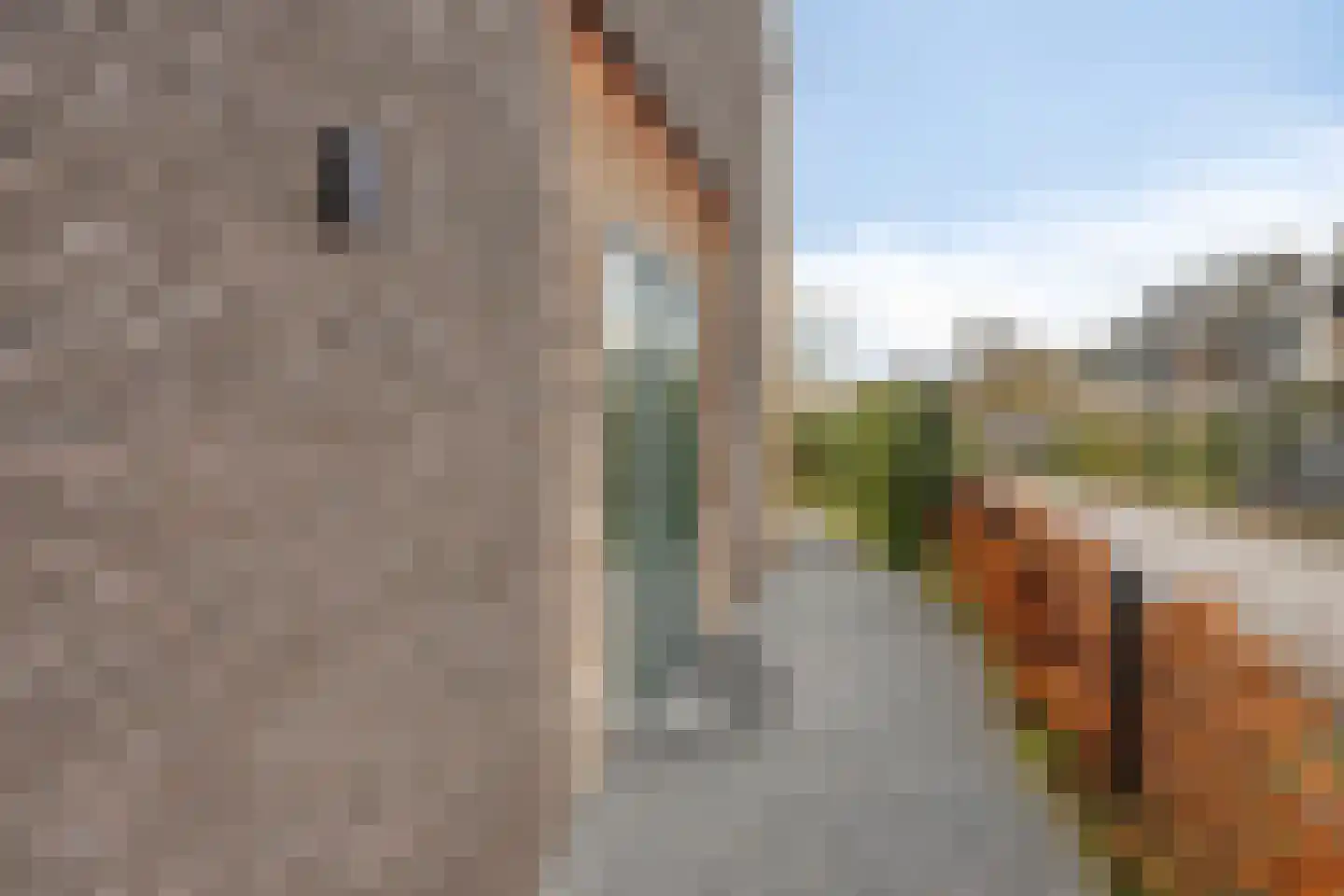 Van Essenweg 3 Apeldoorn thumbnail 25