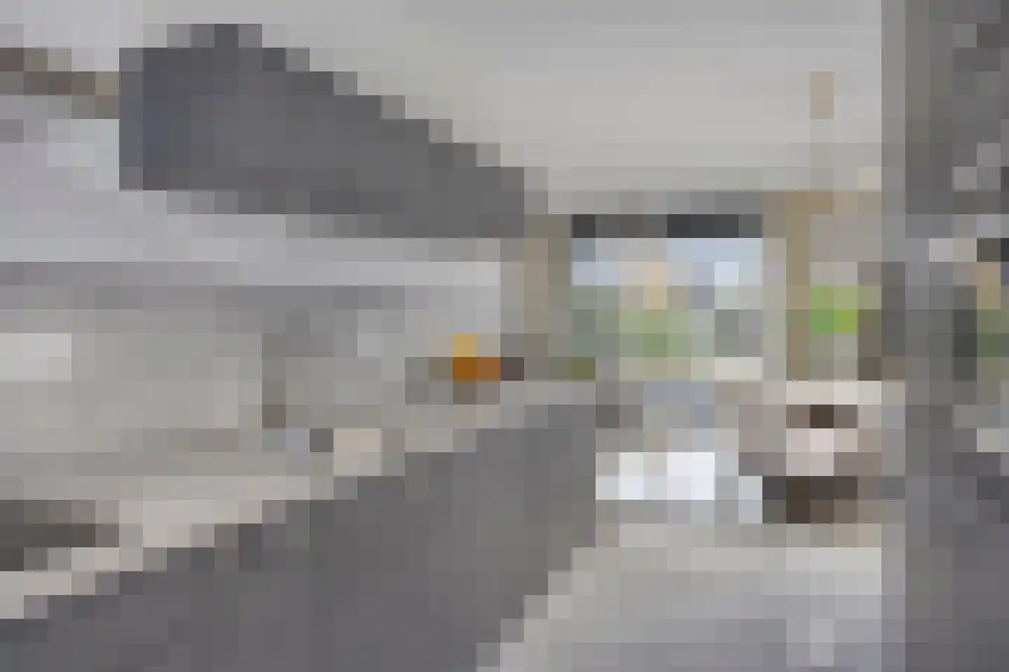 Van Essenweg 3 Apeldoorn thumbnail 4
