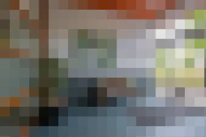 Van Esveldstraat 179 Utrecht thumbnail 33