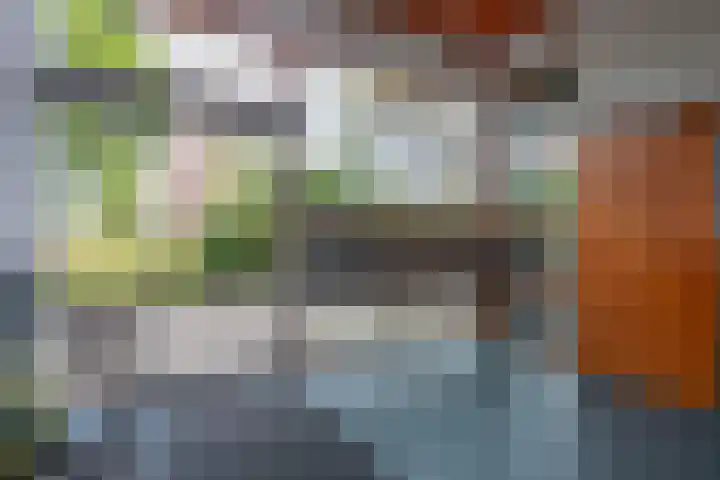 Van Esveldstraat 179 Utrecht thumbnail 34