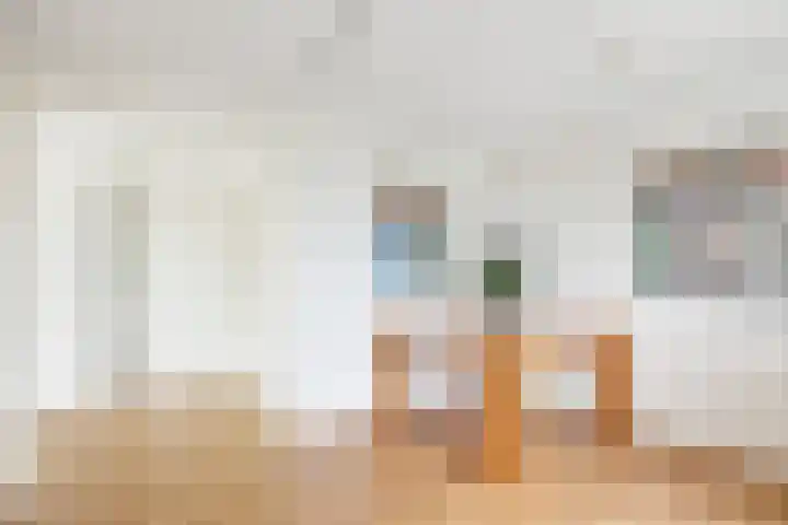 Van Esveldstraat 265 Utrecht thumbnail 12