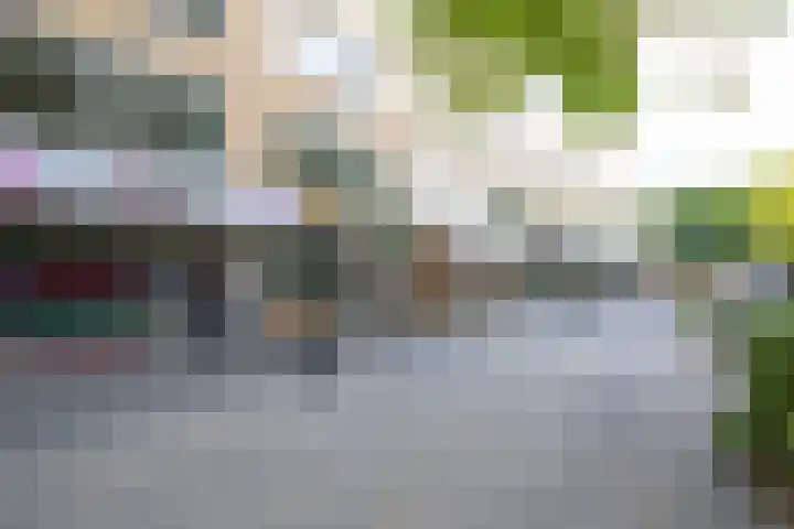 Van Esveldstraat 265 Utrecht thumbnail 39
